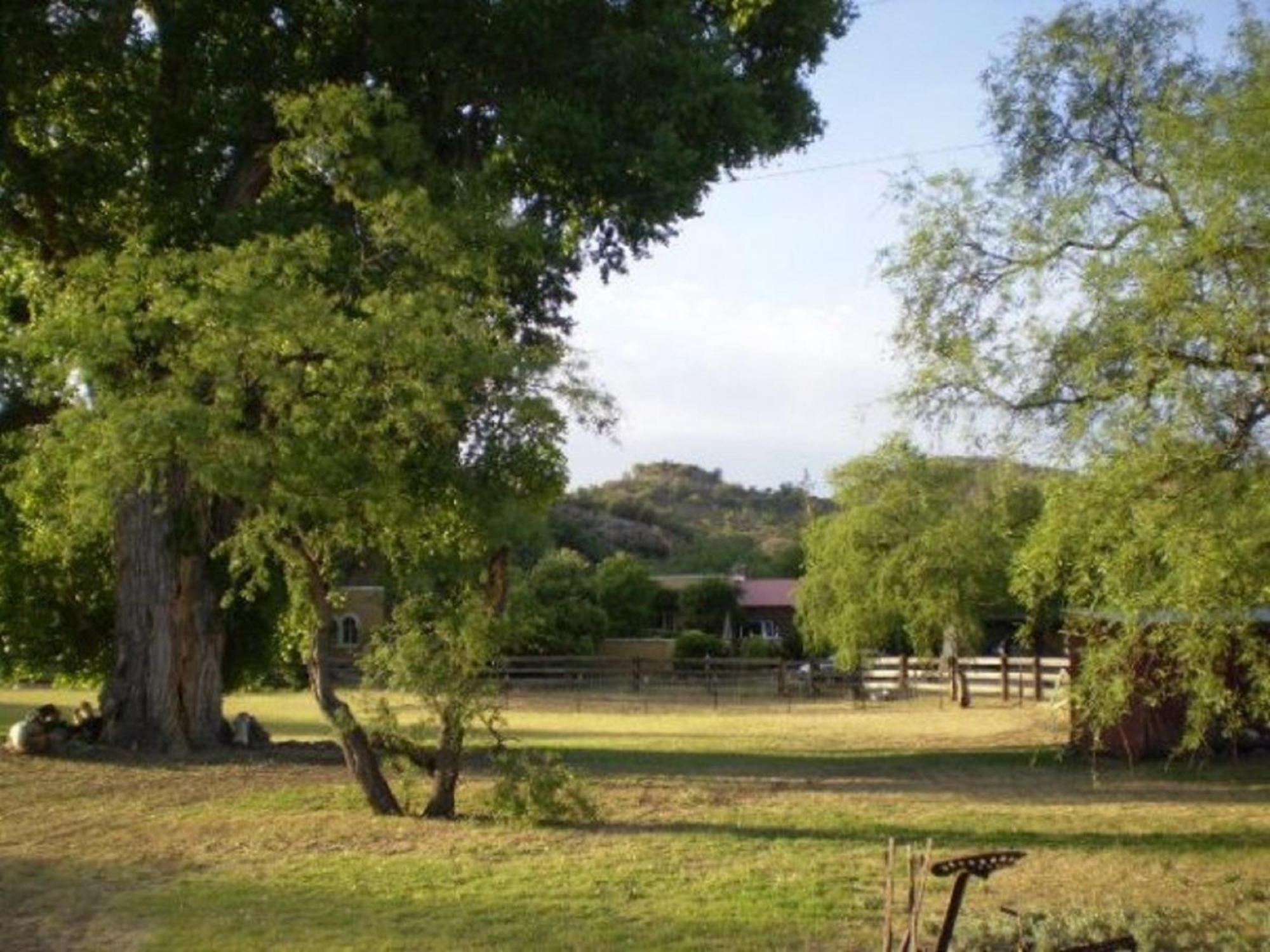 Spirit Tree Inn B&B Patagonia Exterior photo