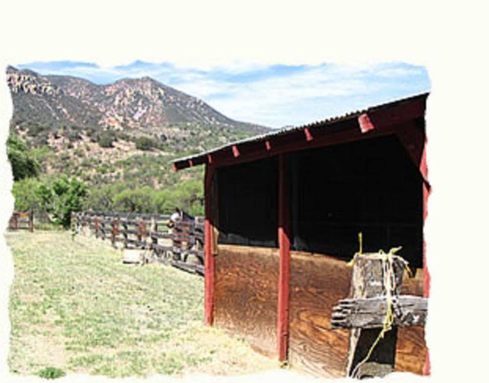 Spirit Tree Inn B&B Patagonia Exterior photo